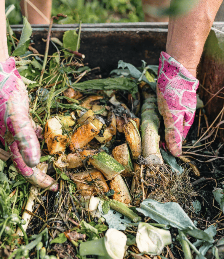 Cellist performing in field